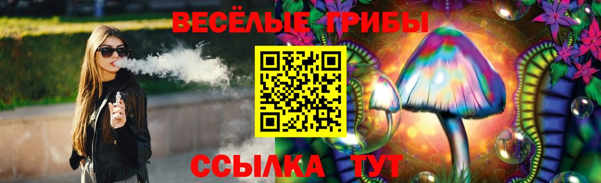 Псилоцибиновые грибы Psilocybine cubensis Щёлково